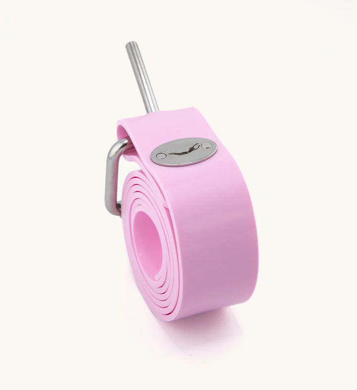 River Dolphin Dive Belt